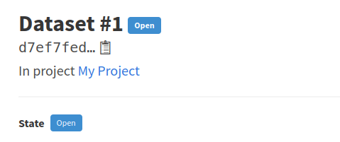 link back to project from dataset