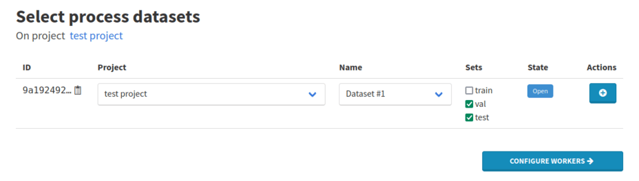dataset sets in dataset processes
