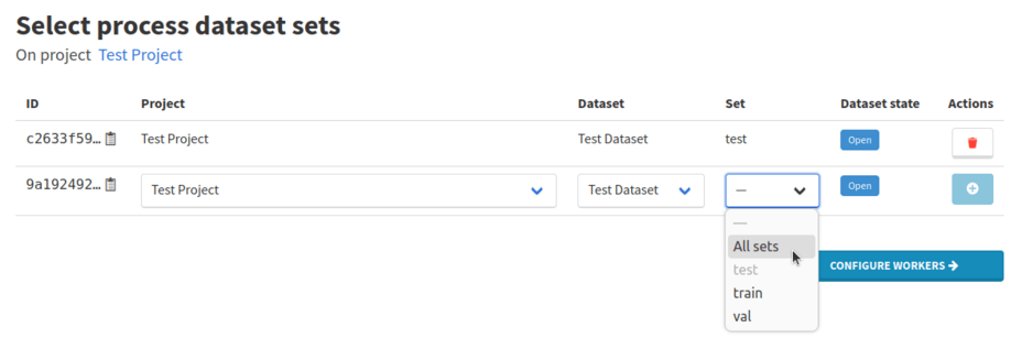 Dataset set selection interface in dataset processes
