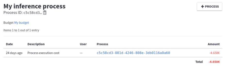 Process budget entries view